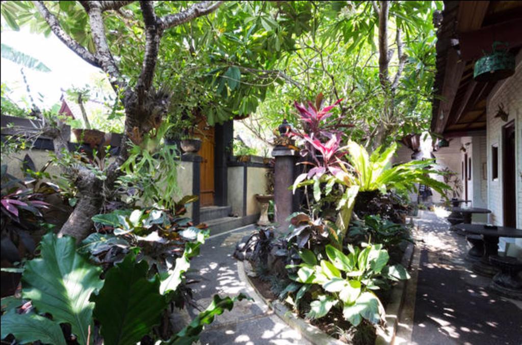New Danas Canggu Guest House Kerobokan Buitenkant foto